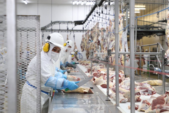 Paraguay a punto de concretar primeros envíos de carne vacuna deshuesada a Canadá