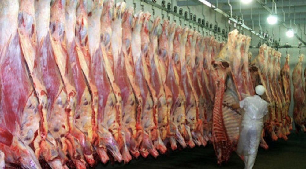 La exportación de carne registró un récord en enero