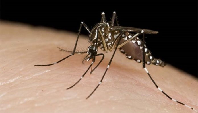 FDA de EE.UU., aprueba vacuna contra el chikungunya
