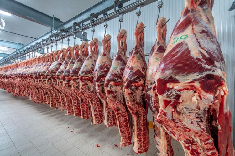 Paraguay logró exportar más de 326.700 toneladas de carne bovina durante el 2021