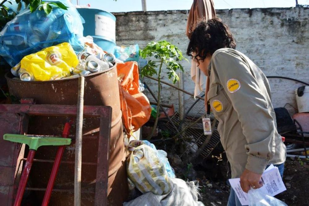 Senepa reporta que casi el 100% de las casas visitadas tienen criaderos