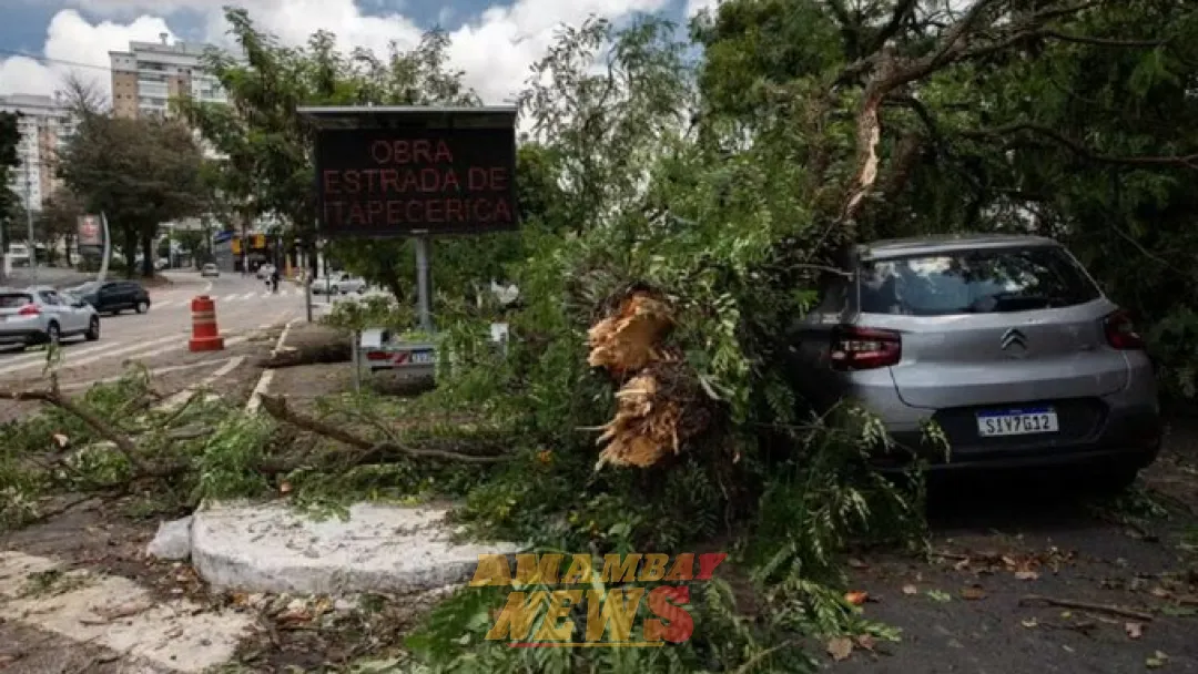 Siete personas murieron por un temporal con ráfagas de viento récord en São Paulo