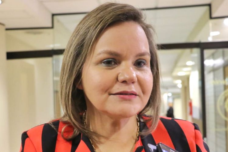 Senadores estudiarán la próxima semana la designación del embajador paraguayo ante EEUU