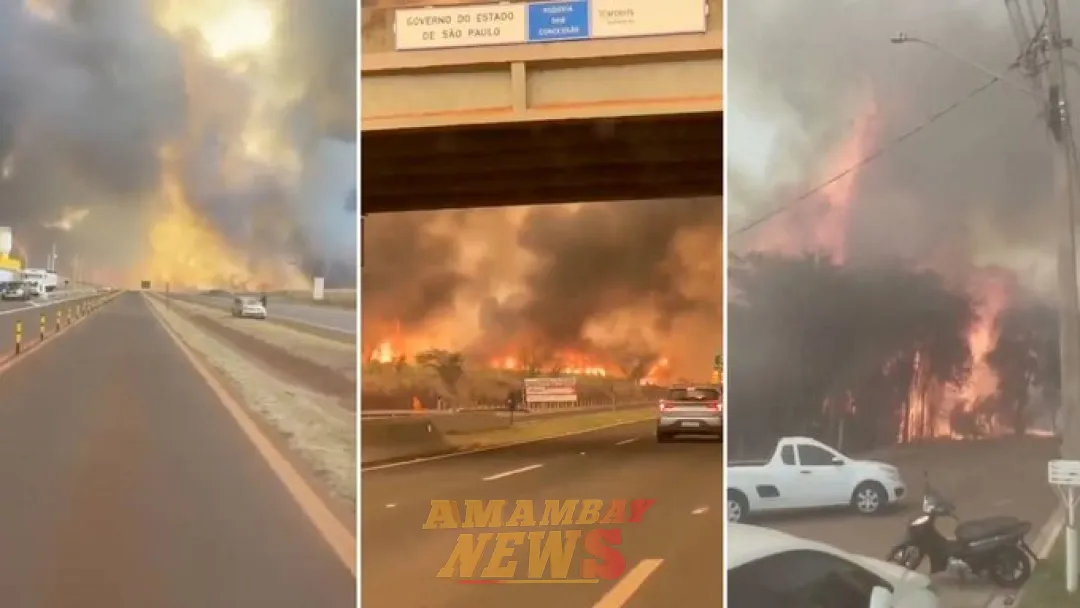 Al menos 30 ciudades están en alerta máxima por catastróficos incendios en Brasil