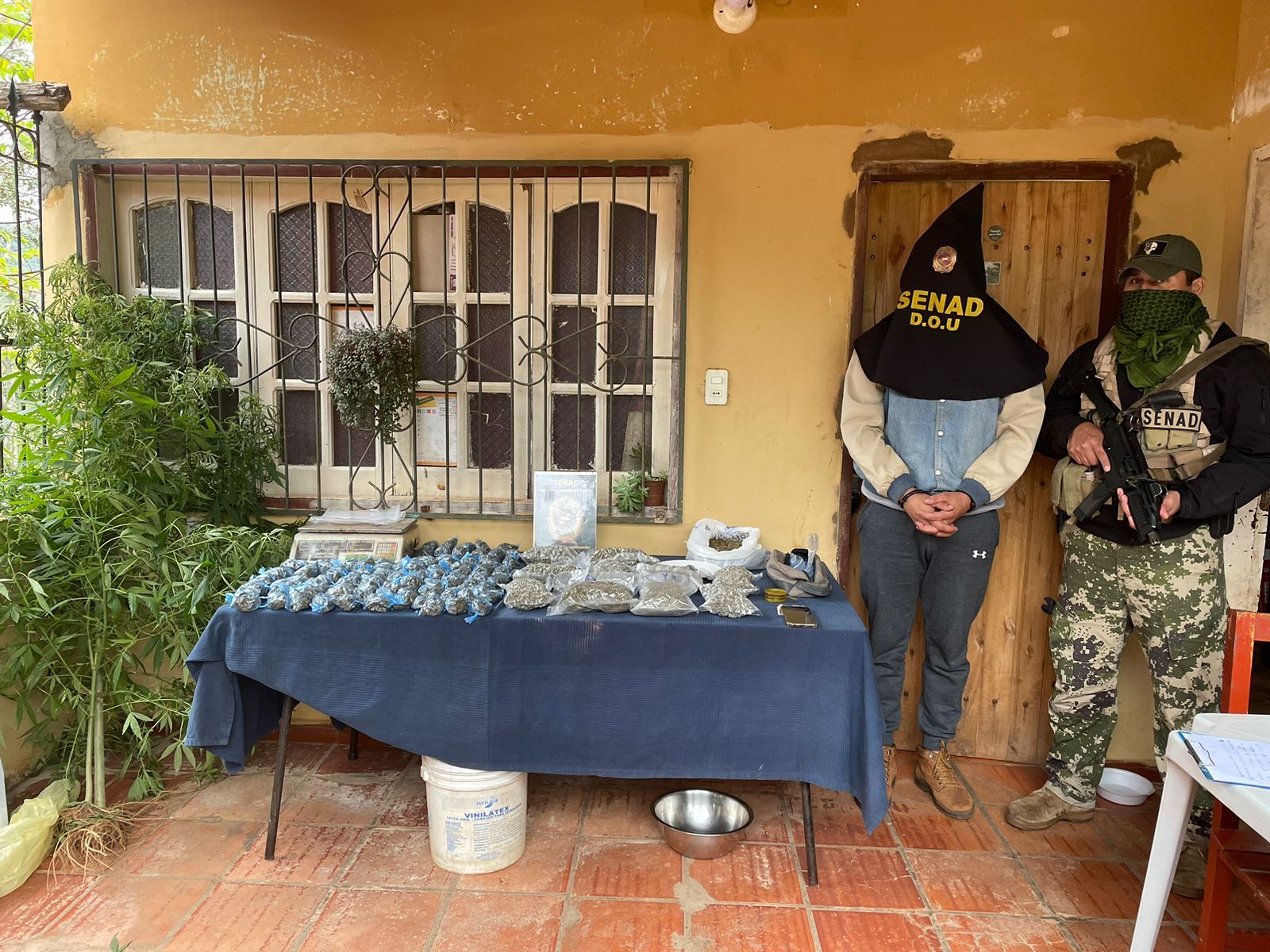 Senad desmanteló “mini-mercado” de drogas en Caacupé