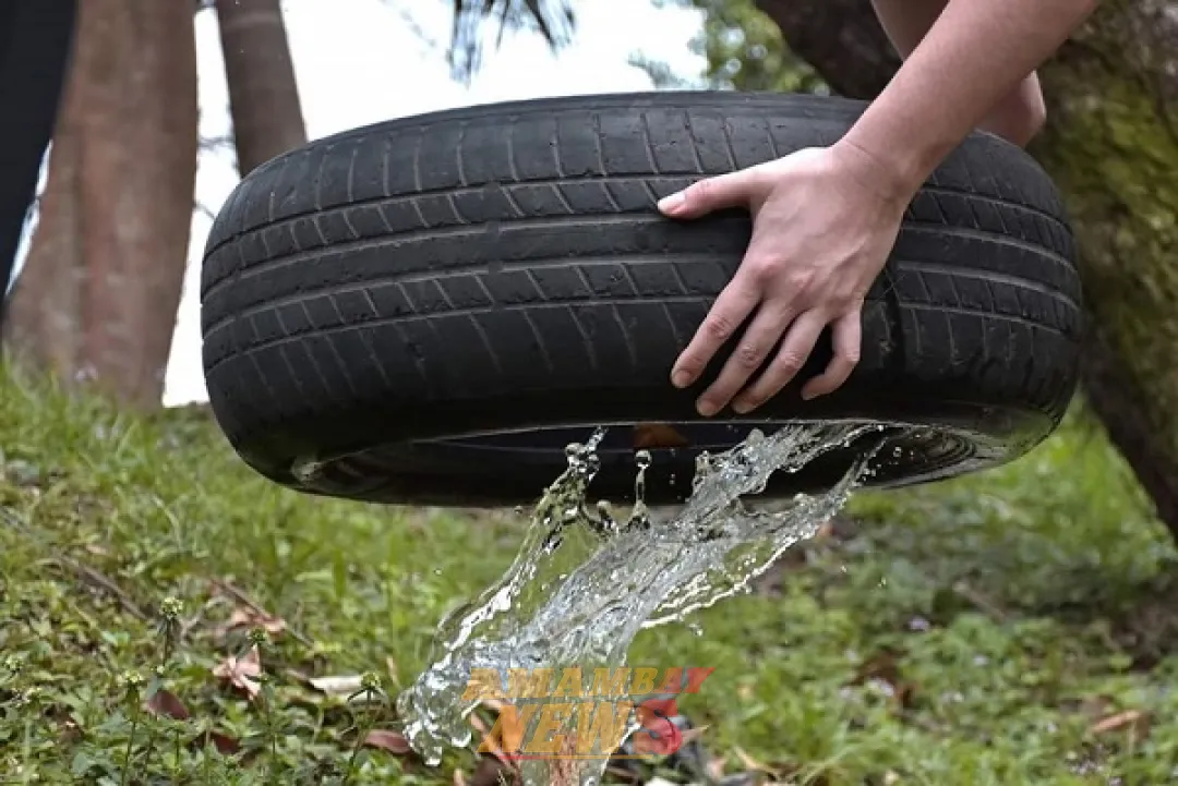 Intervenciones contra criaderos de mosquitos avanzan en Asunción