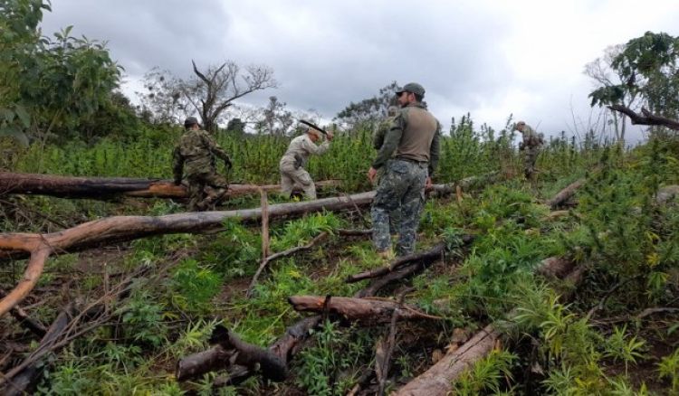 Paraguay y Brasil inician nueva ofensiva contra el narcotráfico en Amambay