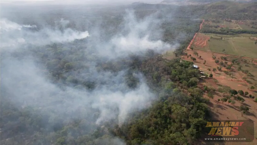Declaran emergencia general por incendio forestal en Parque Nacional Cerro Corá