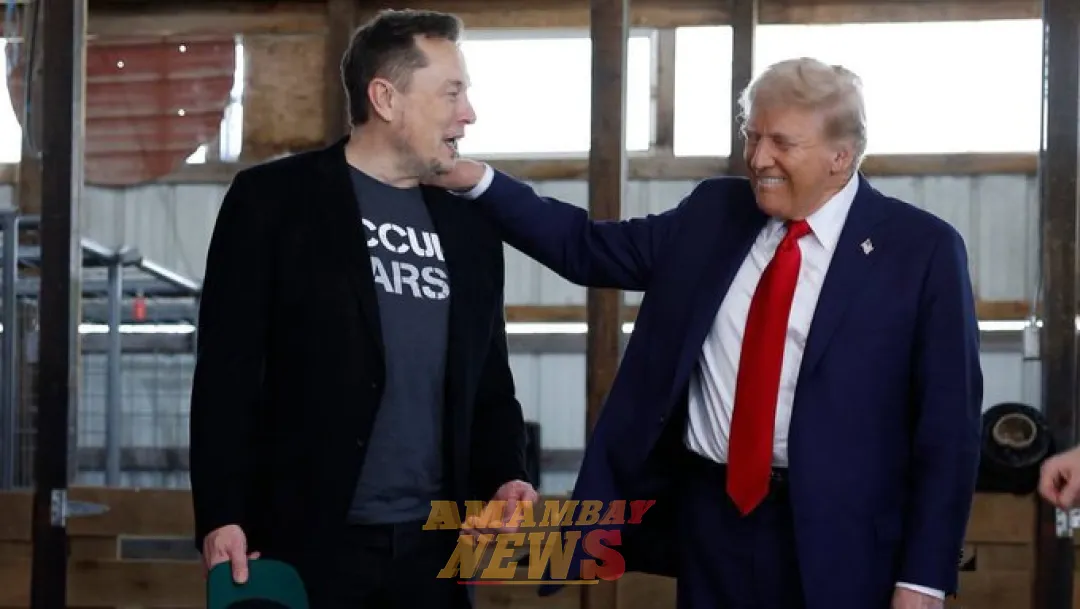 Dinero y poder: Musk se vuelve aún más rico con la elección de Trump