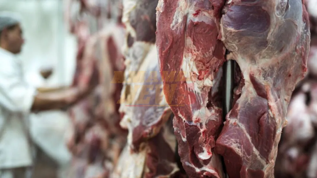 Envíos de carne acumulan USD 1.305 millones en primer semestre del año