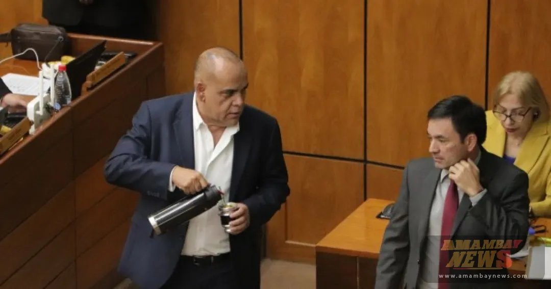 El caso que mira el Gobierno: EEUU suspende la ayuda económica a Georgia por controlar a las ONG
