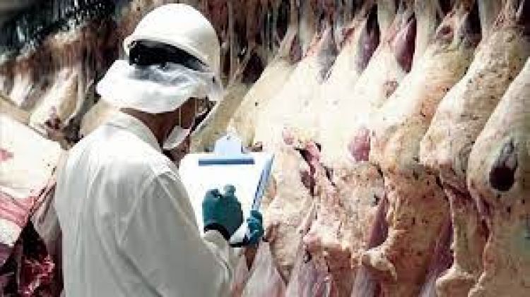 Paraguay exportó cerca de 128.000 toneladas de carne bovina en lo que va del 2022