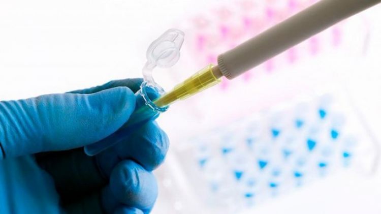 La OMS alertó que la variante india del coronavirus ya está en 44 países
