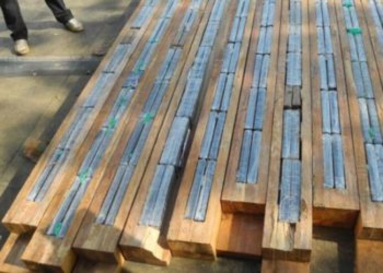La estrecha relación entre la cocaína y la madera ilegal en la Amazonia