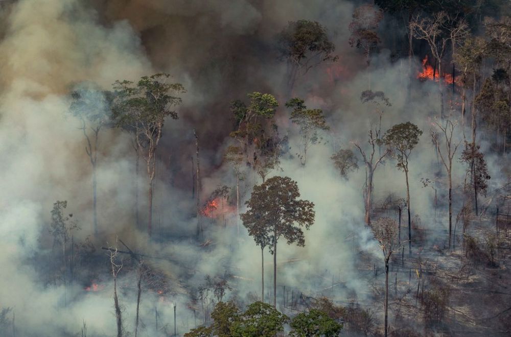Brasil combate los incendios en la Amazonía tras nuevas llamaradas