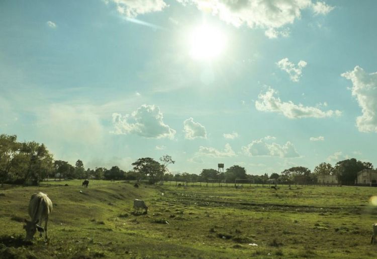 Jornada soleada y temperatura agradable para este sábado