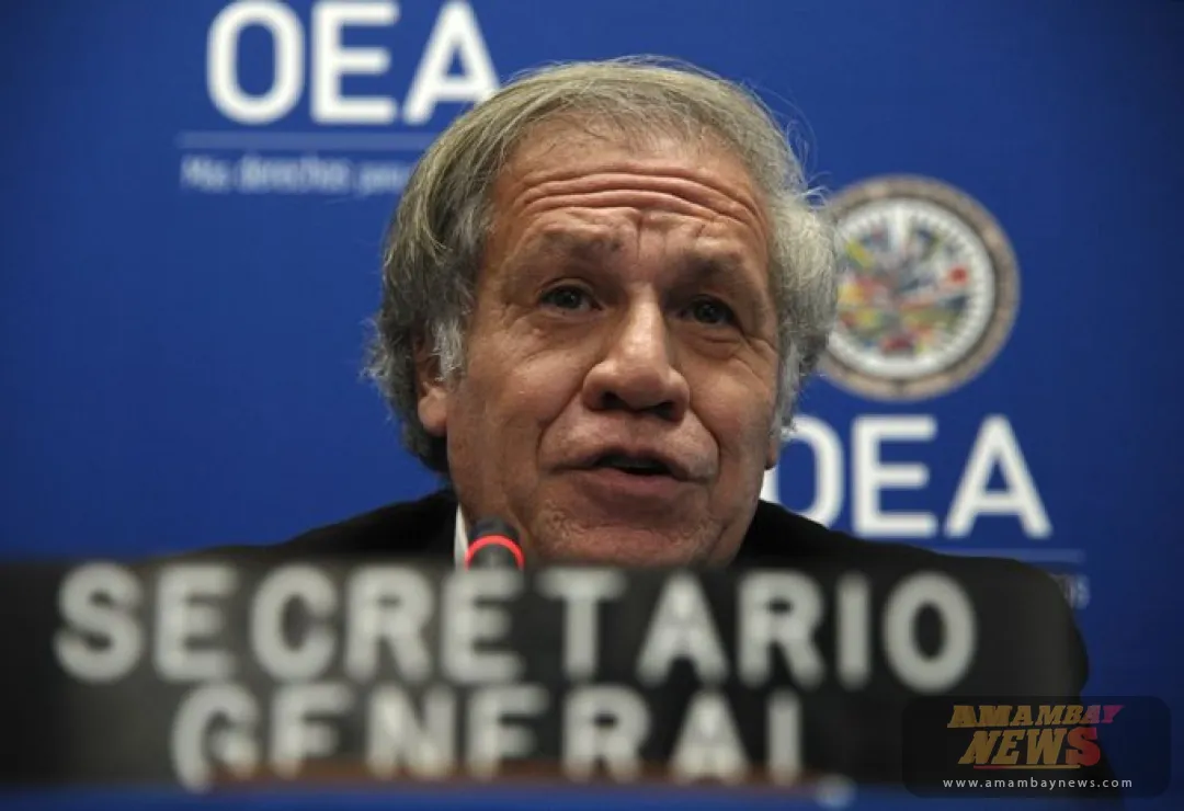 La Organización de Estados Americanos hace un llamamiento a la paz en Venezuela