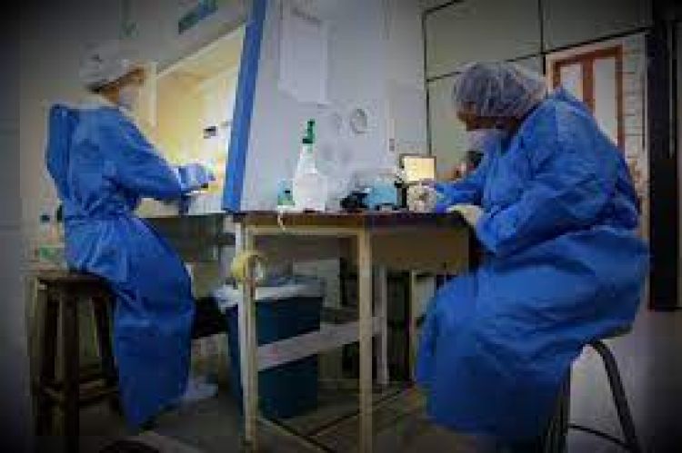 Salud detecta 115 nuevos contagios y 9 fallecidos por Covid-19