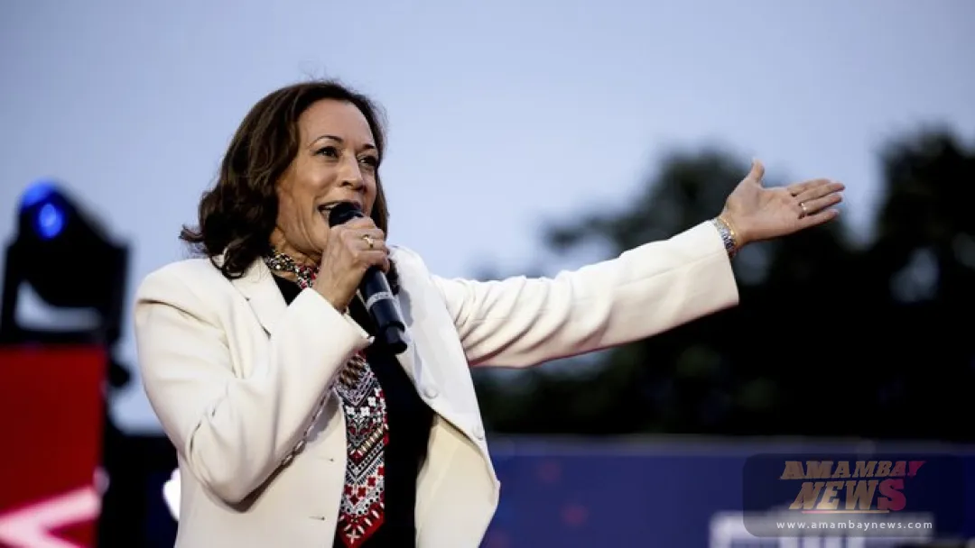 Demócratas celebran la "mayor" recaudación de fondos de 2024