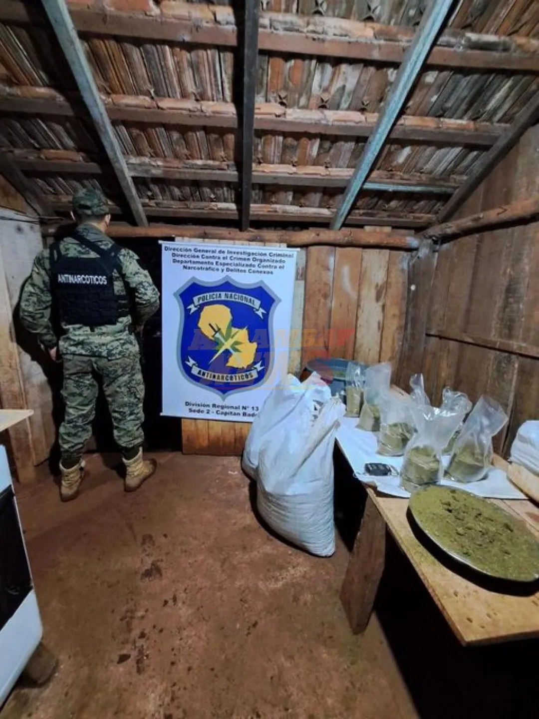 Destruyen campamento de marihuana en Capitán Bado