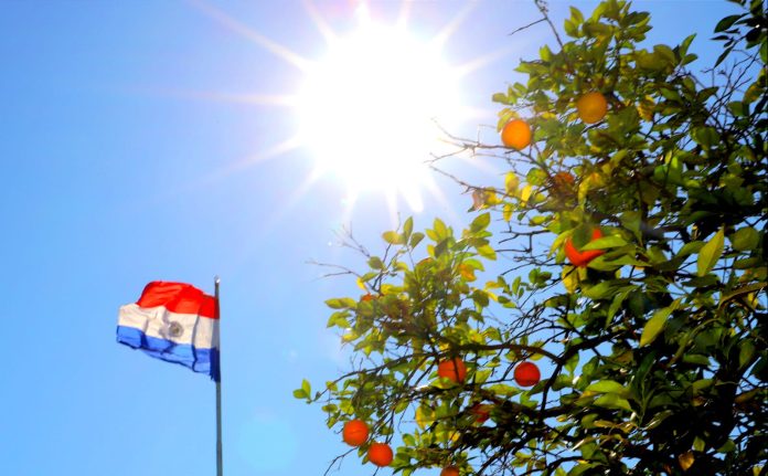 Persistirían temperaturas cálidas y vientos del noreste para hoy