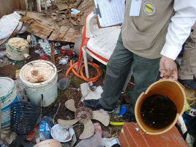 Instan a eliminar los criaderos de mosquitos