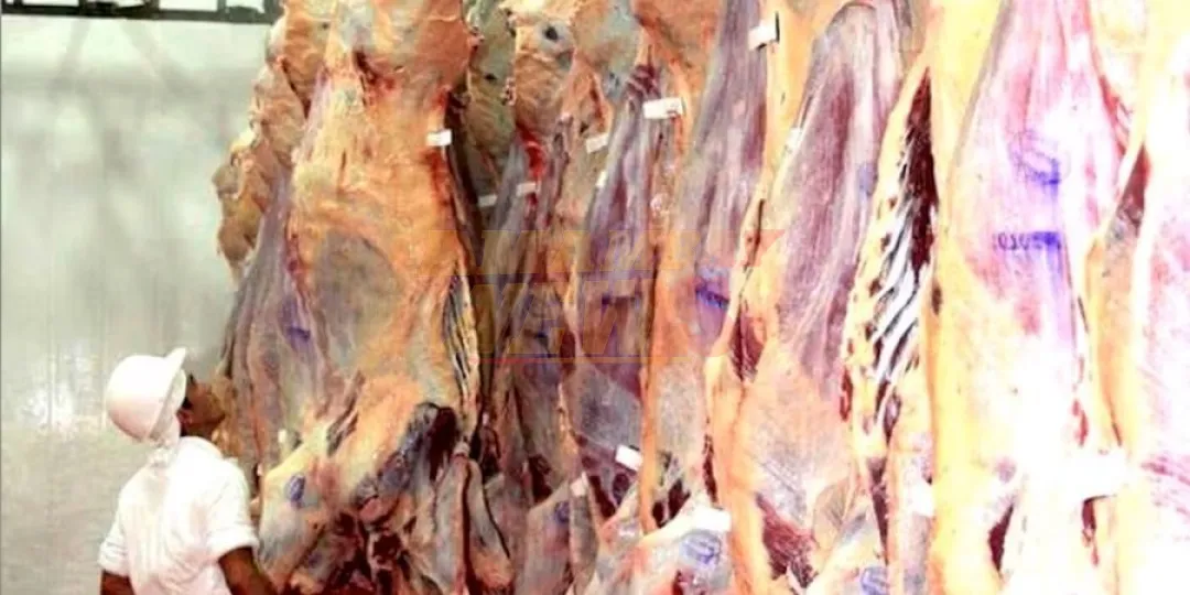 Panamá abre su mercado a la carne paraguaya