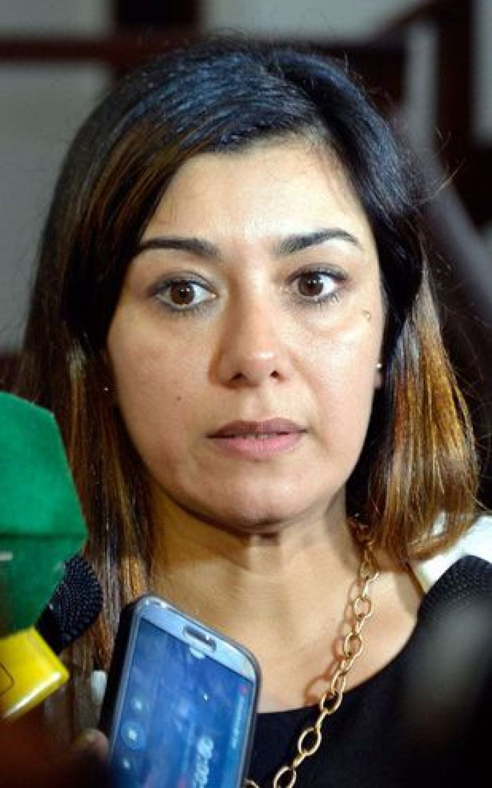 Sumario para fiscala del caso "Samura"