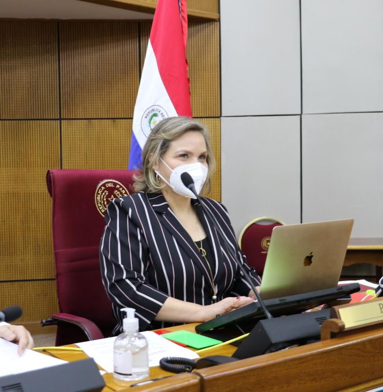 Senado define proyecto de emergencia sanitaria