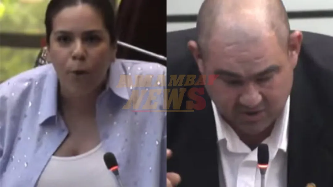 Fuerte cruce entre Jatar Fernández y Johanna Ortega en la Cámara de Diputados
