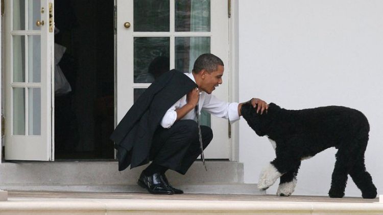 Los Obama de luto: fallece la mascota de la familia
