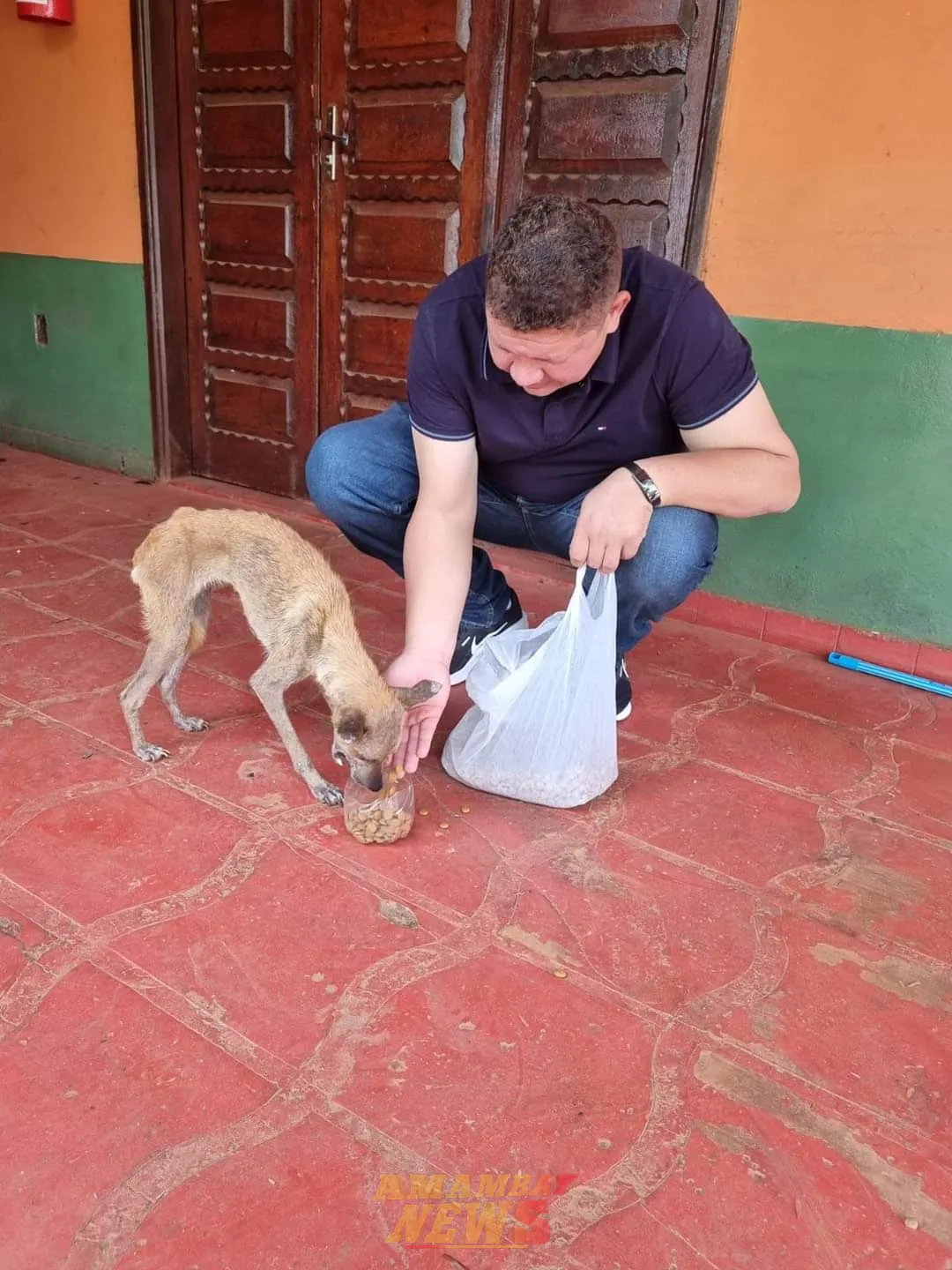 AUDIO: Piden al Gobernador cuidar a la población y no a los perros de la población