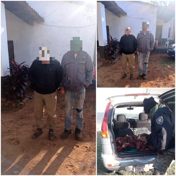 Detienen a dos personas por abigeato en Caapucú