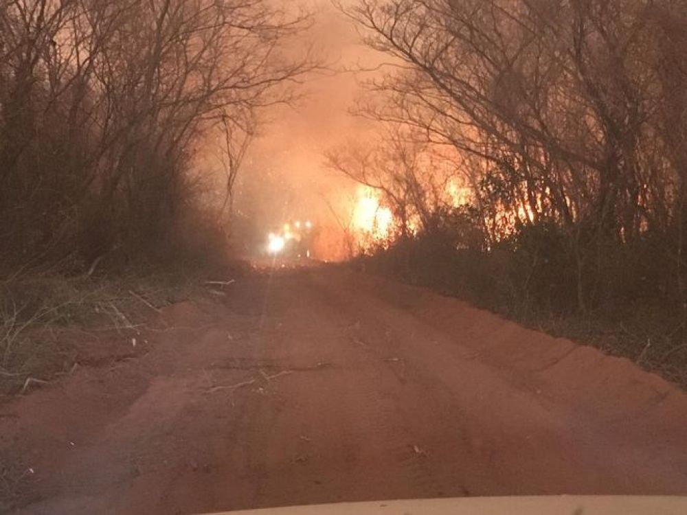 No paran los incendios forestales en Alto Paraguay