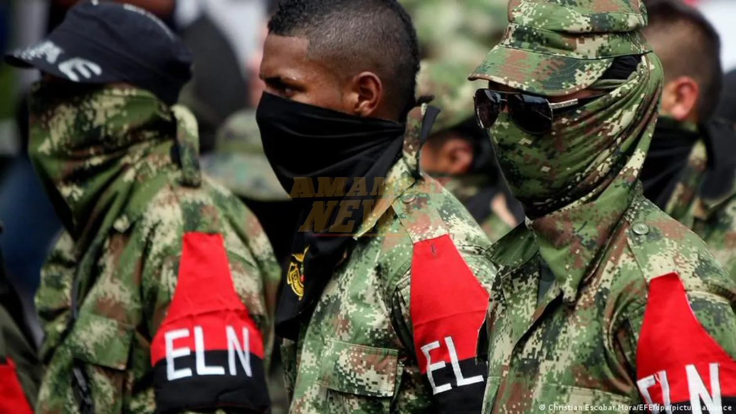 Petro y Trump acordaron "acciones conjuntas" contra el ELN