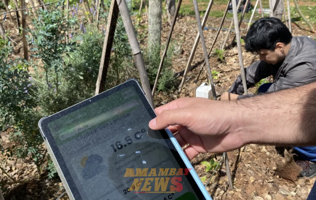 AgroArandu: App gratuita desarrollada en Paraguay para los productores