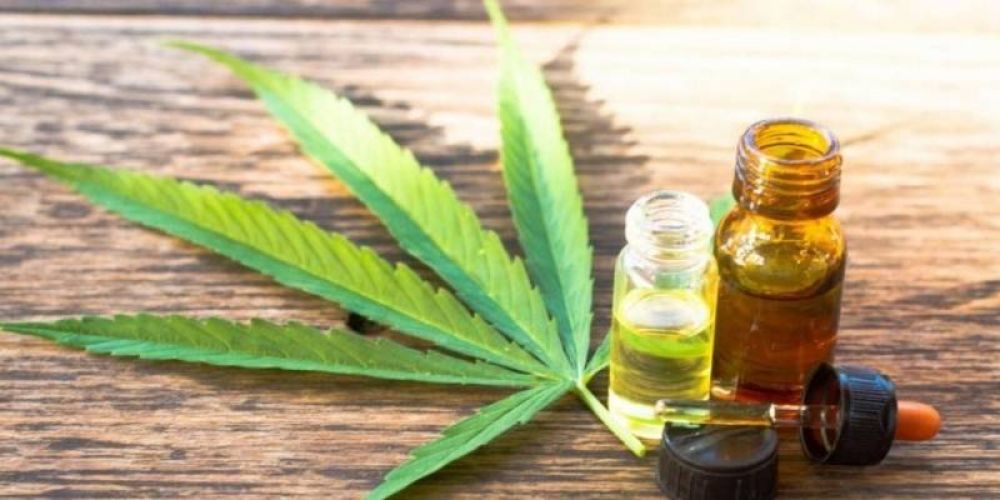 Ampliarán a 10 las licencias para producción de cannabis medicinal