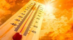Fin de semana con 41ºC de máxima
