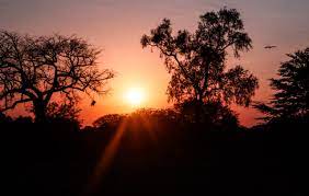 Martes con amanecer fresco y tarde cálida, anuncia Meteorología