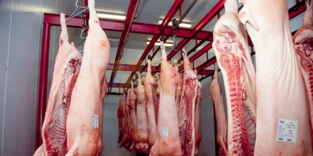 Sector porcino buscará exportar a Chile y mercados de Asia en el 2025