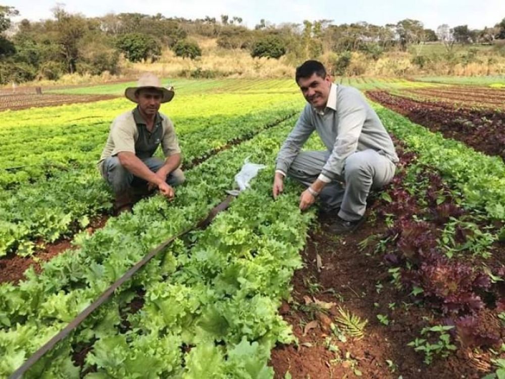 Asistencia para impulsar el desarrollo de la economía familiar campesina