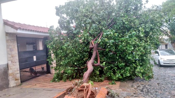Temporal también tuvo su impacto en la Capital