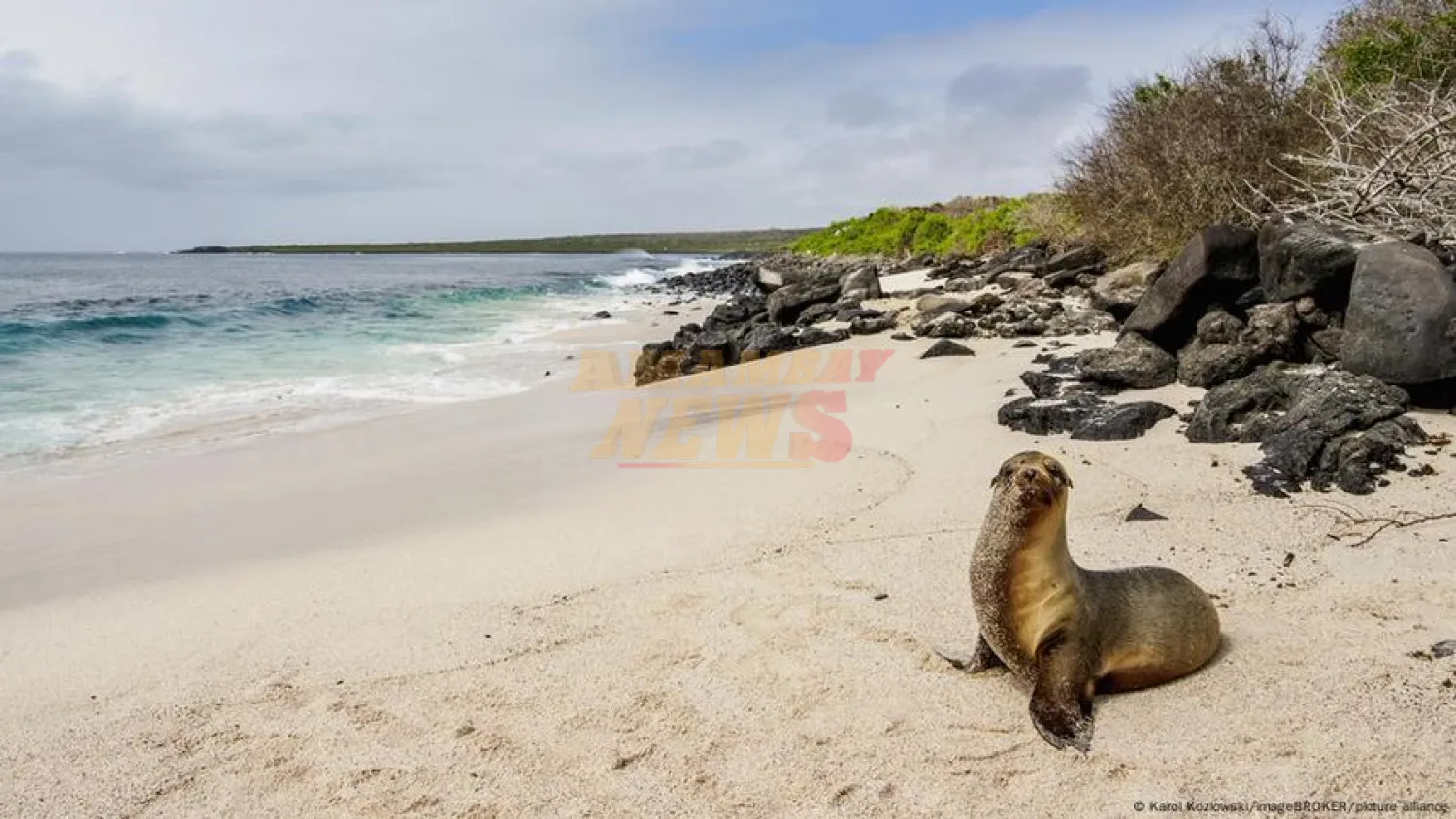 Ecuador y EE.UU. descartan base militar en islas Galápagos