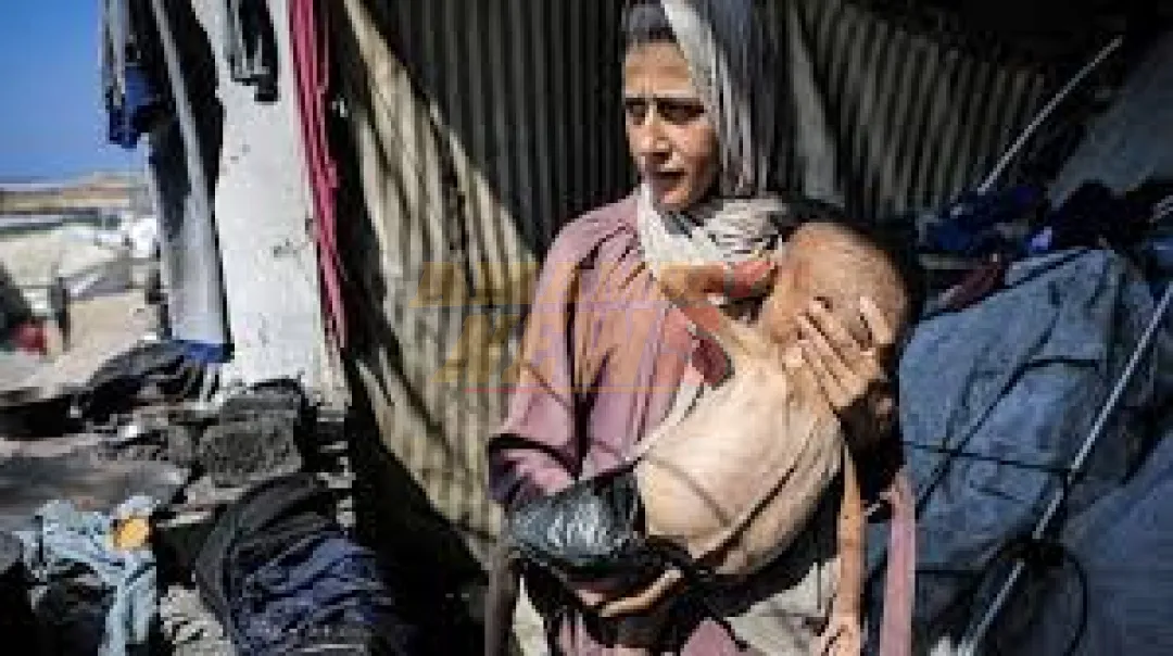 MSF denuncia hambruna deliberada en Gaza: Uno de cada cuatro niños y embarazadas están desnutridos