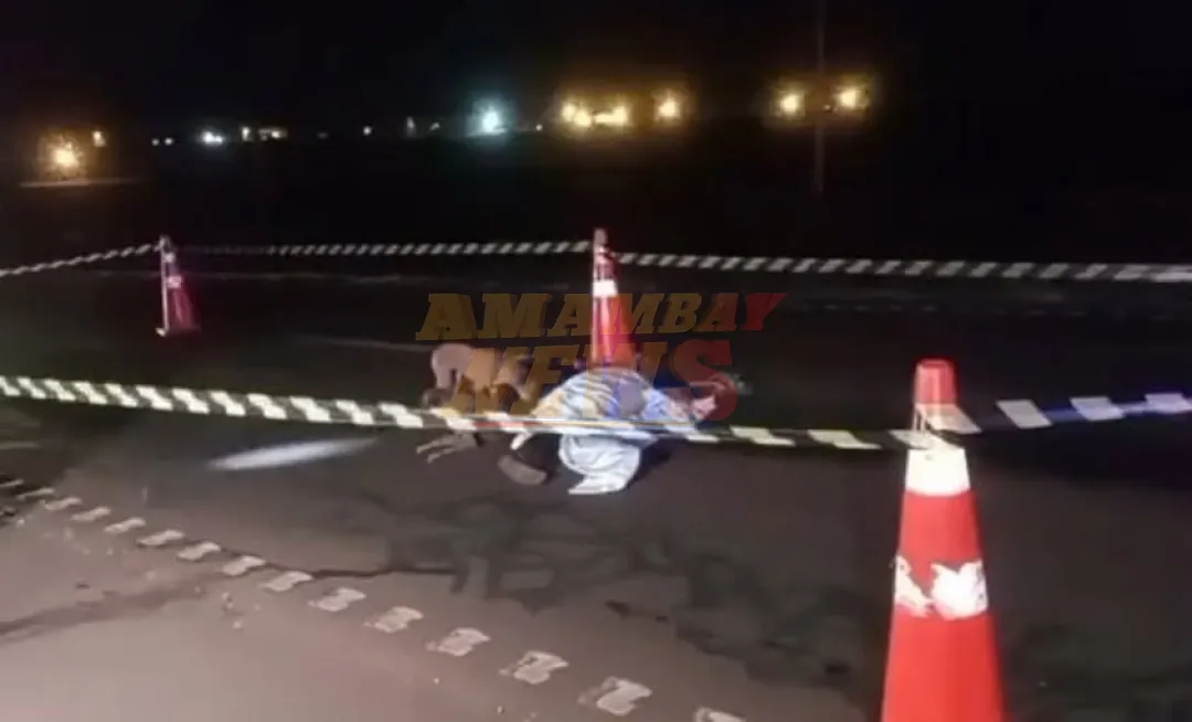 Mujer murió arrollada y sus perros la defendieron hasta de los intervinientes