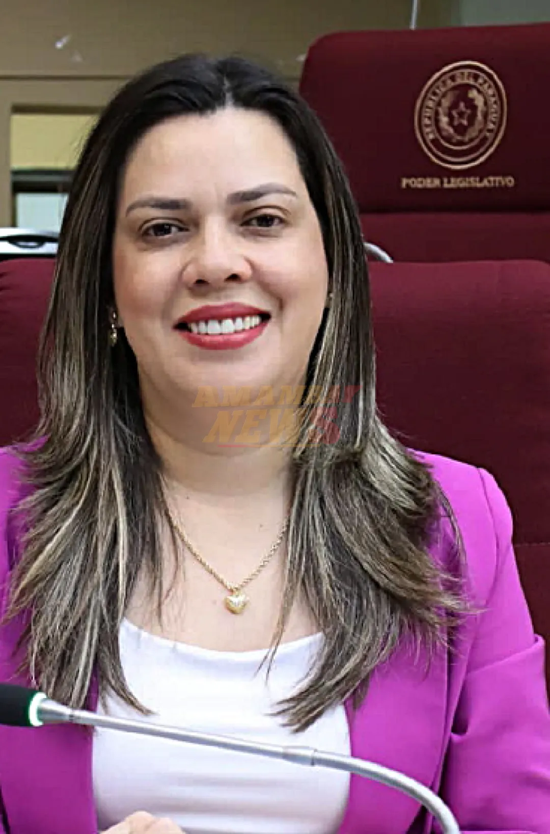 Saltan antecedentes por supuesto vínculo de diputada con traficantes