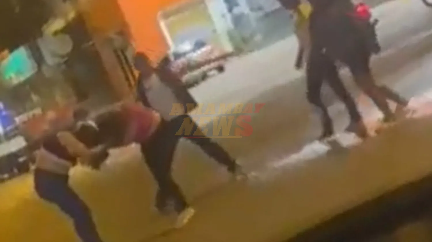Video: Mujeres protagonizan una pelea en plena avenida Pinedo, en Concepción
