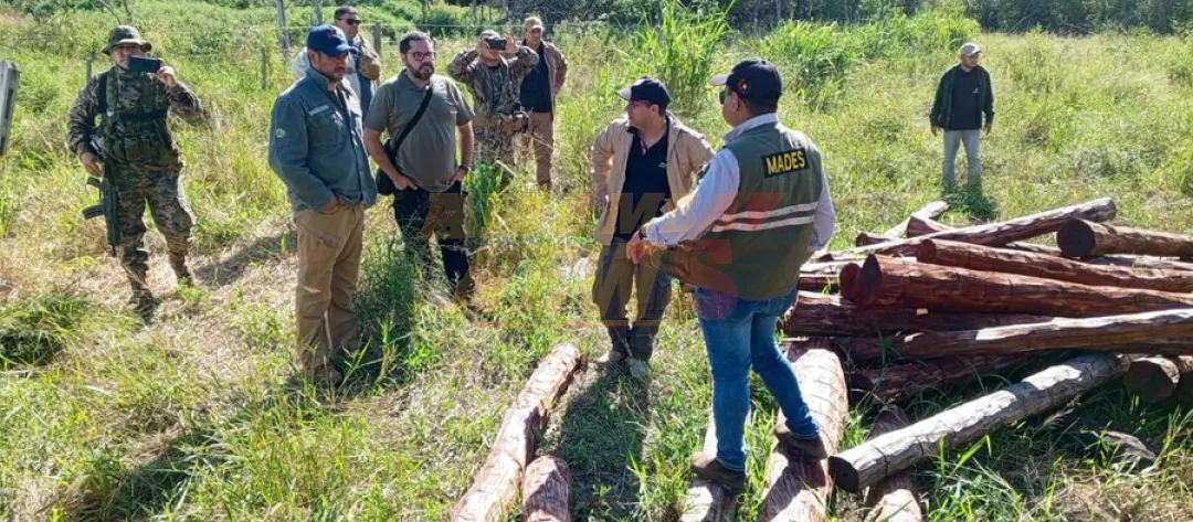 Allanan empresa Atenil por tala ilegal de quebracho y palo santo en Puerto Pinasco