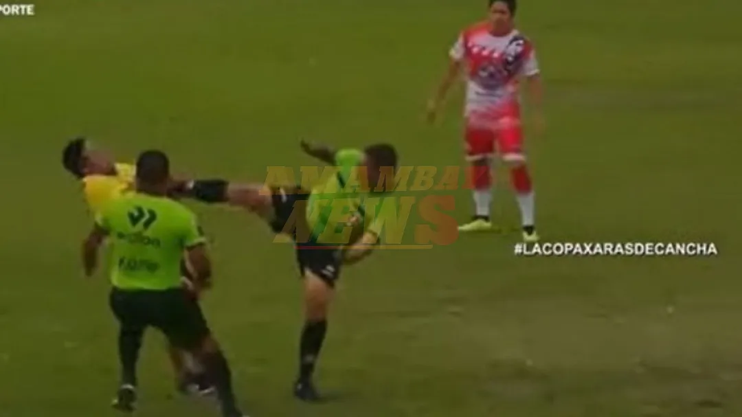 ¡A lo Daniel-San! Árbitro peruano evita una agresión con una patada karateca que manda al césped a un director técnico