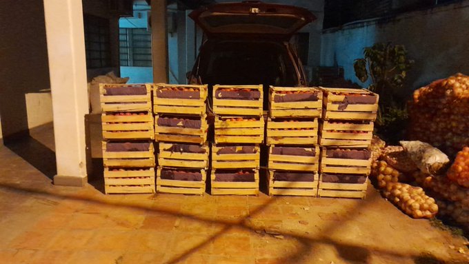 Aprehenden a una mujer de 23 años por presunto contrabando de tomates
